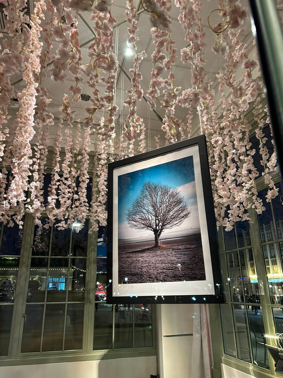 Echo of Renewal RWC